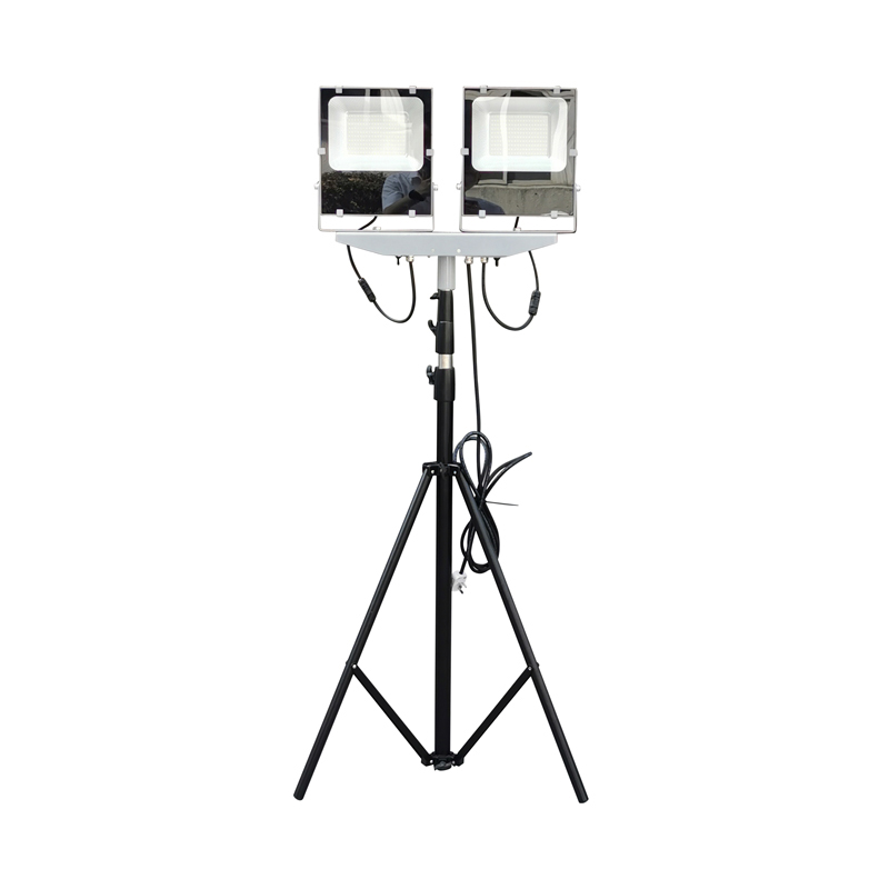 �����������M